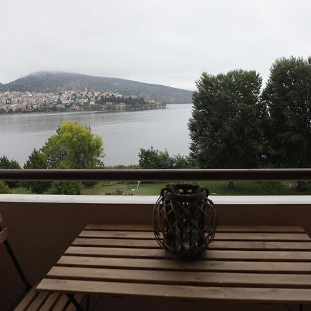Lida'S Apartment Lake View Kastoria Luaran gambar