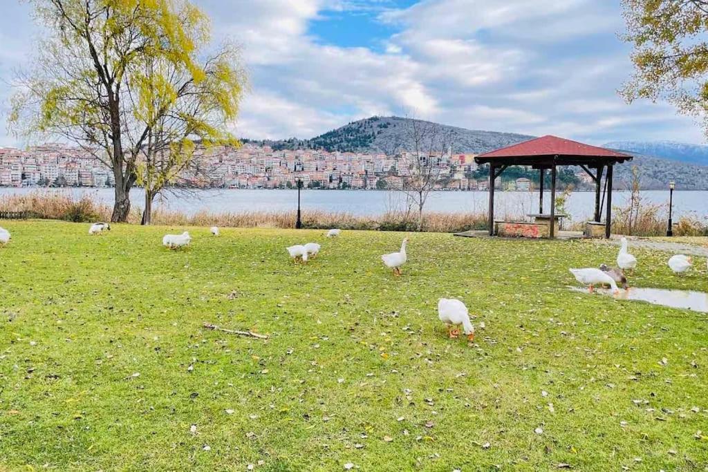 Lida'S Apartment Lake View Kastoria Luaran gambar